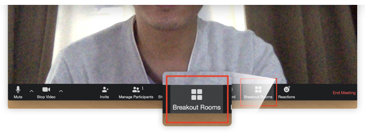 Breakout Rooms