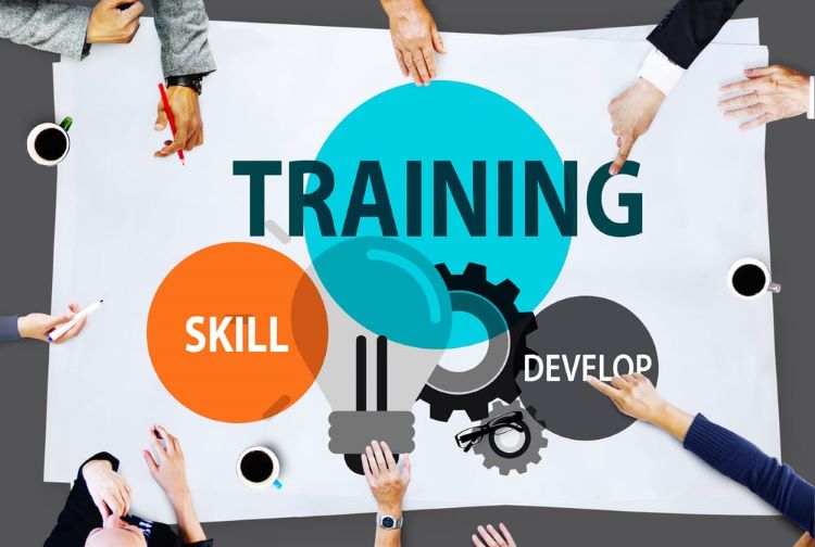 Invest in Employee Training